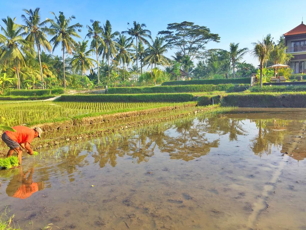The Suris Ubud Exteriör bild