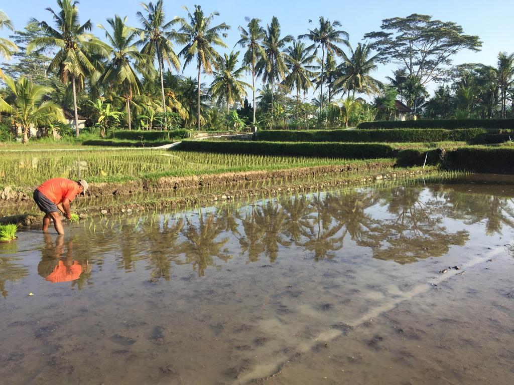 The Suris Ubud Exteriör bild