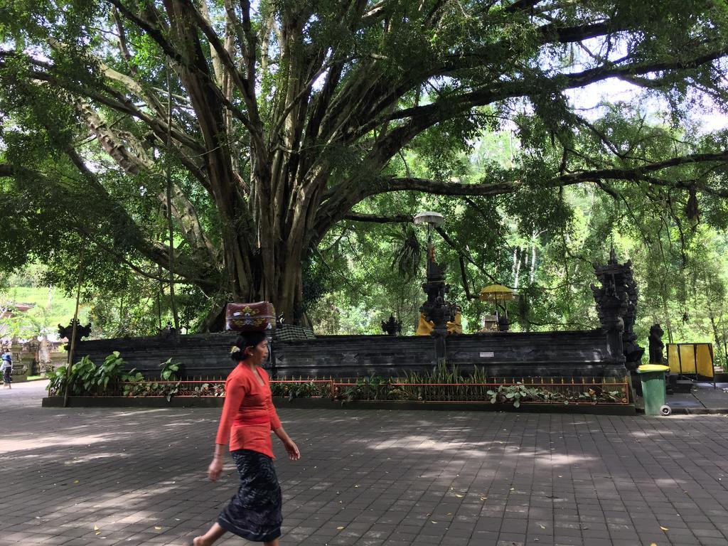 The Suris Ubud Exteriör bild